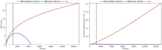 Left: selection of the output plot of radius versus time; this plot represents the size of the blast-wave shock (red) and of the reverse shock (blue) for the standard model. Right: selection of the output plot of emission measure versus time; this plot represents the behaviour of the emission measure along time.