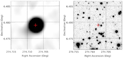 NVSS J181849+062843. Left-hand panel: deep MeerKAT image. Right-hand panel: PanSTARRS z band image. The red plus symbol shows the location of the source.
