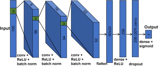 A diagram of the developed neural network model featuring three convolutional layers, two fully connected layers, and a dropout layer with an input spectrum of 100 pixels.