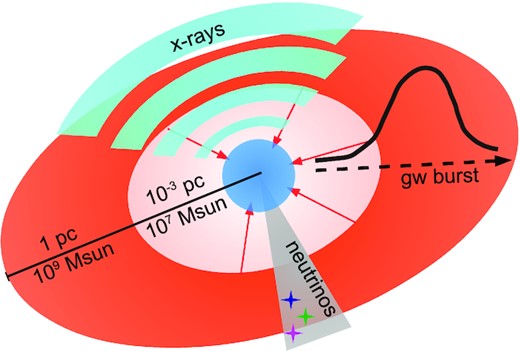 A simple cartoon of the merger-driven DC scenario and its observational signatures. An SMD with a typical size of 1 pc and a typical mass of 109 M⊙ loses angular momentum by a secular or dynamical mechanism (see Section 2.2). The central regions accrete onto a hydrostatic core, which increases in size, mass, and internal energy. The core reaches the GR instability at a mass of a few 107 M⊙ (see Section 3.3). It then rapidly collapses into a fully fledged SMBH, producing a burst of X-rays, gravitational waves, and neutrinos along the way (see Section 4.1).