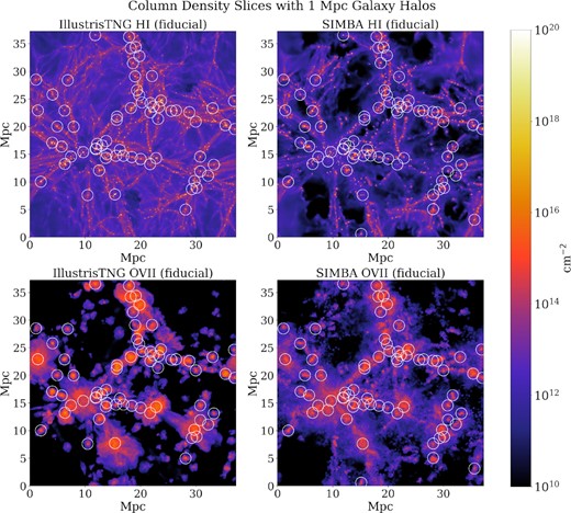 H i (top panels) and O vii (bottom panels) column density maps from the fiducial runs of the IllustrisTNG (left) and SIMBA (right) 1P simulation at z = 0.154 from a slice with width $4.167\, h^{-1}$ Mpc. The colour indicates the value of the column density in units of cm−2. Overplotted are white 1 Mpc halo radii around galaxies in the simulation, which we define to be the halo outskirts of the galaxies. The haloes are selected to have virial masses Mvir ≥ 3 × 1011 M⊙, and with their centres lying within the slice. Note that this visualization does not represent the methods of selecting regions for masked pixel maps described in Section 2.5.
