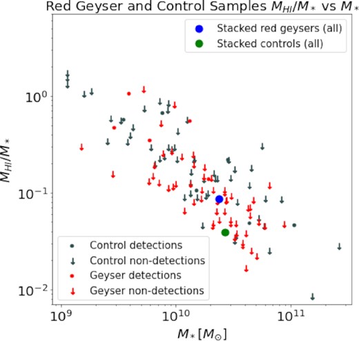 Galaxy H i mass gas fraction against stellar mass. Individual control galaxies are depicted in grey, individual red geyser galaxies in red. The G/S of the stacked red geyser sample is depicted in blue. The G/S of the stacked control sample is depicted in green. Non-detections share down-arrow markers and dominate the plot, demonstrating the need for stacking, and detections share circle markers. The standard deviation H i mass to stellar mass is 0.304 and 0.319 dex for individual detections and non-detections from both samples, respectively.