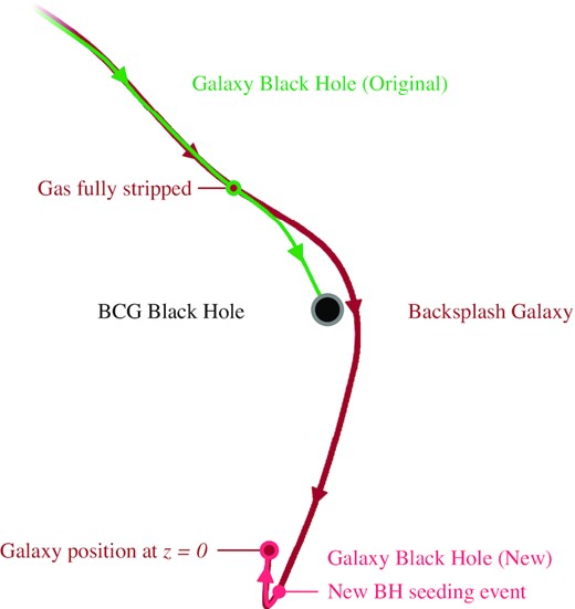 A schematic showing the stripping of black holes from their host backsplash (or cluster) galaxies. The dark red line shows the path of the backsplash galaxy, in the reference frame of the black hole at the centre of the central brightest cluster galaxy (BCG, black circle). The green line shows the original black hole associated with the backsplash galaxy, which is removed by the repositioning scheme once the galaxy is stripped of all of its gas. Once back outside the cluster, the backsplash galaxy is re-seeded with a new black hole (pink line), before residing outside the cluster at z = 0.