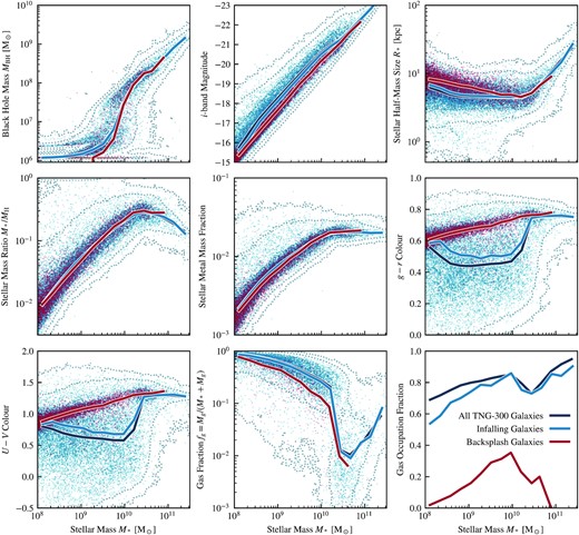 A collection of common galaxy scaling relations, split into three groups: backsplash galaxies (red points and line), infalling galaxies (light blue points and line), and all TNG300 galaxies (dotted contours and dark blue line). The lines show the median binned in 16 equally log-spaced bins across the stellar mass range shown, and the points show all galaxies. All scaling relations are shown as a function of galaxy stellar mass, here defined to be the mass contained within twice the stellar half-mass radius. Here we see that backsplash galaxies have lower mass black holes, high mass to light ratios, and are generally redder, larger, and have significantly lower gas occupation fractions than their infalling counterparts.