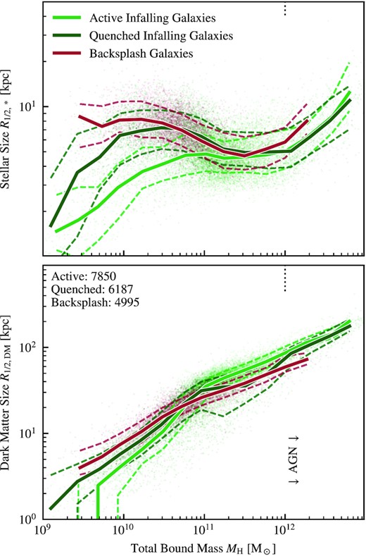 Mass–size relations for backsplash galaxies (red) and infalling galaxies split into quenched (dark green) and active (light green) populations by specific star formation rate sSFR = 10−11 yr−1. In the background the scatter shows all galaxies in the sample, with the solid lines representing the median in 16 equally log-spaced bins, and dashed lines showing the 16–84 percentile range. The top panel shows the stellar half-mass radius, and the bottom panel shows the dark matter half-mass radius. The dotted vertical line shows the total bound mass at which AGN feedback becomes significant, leading to a noticeable up-tick in the stellar sizes. The numbers in the top left of the bottom panel show how many galaxies are in each cut below the point at which AGN feedback becomes significant.