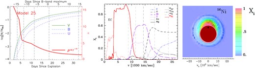 Left: The mass above the photosphere as seen by photons in the U, B, and V bands as a function of time for the normal Type Ia SN calculated in the off-centre angle-averaged version of the delayed-detonation Model 25 (Hoeflich 2017). The exponential index (n) of the radial density distribution at the position of the photosphere as a function of time is also shown by the red triple-dot–dashed line. The five epochs of VLT spectropolarimetry are marked by grey vertical dashed lines. Middle: Angle-averaged abundance structure as a function of expansion velocity, also calculated using Model 25. Vertical grey-dashed lines indicate the location of the scattering photosphere – that is, τsc = 1 at the times when the VLT spectropolarimetry was obtained. The region with electron-capture elements is indicated by EC. Right: The 56Ni distribution as seen above the photosphere on day +14.5 based on the hydrodynamical simulation of the off-centre detonation. The mass fraction of off-centre 56Ni above the photospheric radius (dark-red) is ∼6 per cent. At this phase, the radius of the photosphere is close to the location (black dot) where the deflagration-to-detonation transition takes place, and it expands with ∼7000 km s−1. The mass fraction is colour-coded in a domain size of ±23 500 km s−1.