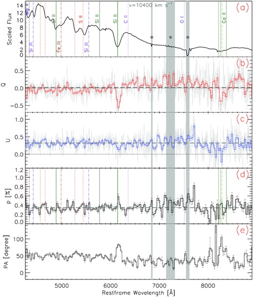 Same as Fig. 1, but for day +0.5 (epoch 4). The estimated ISP level is shown by grey-dashed lines in panels (b)–(d).