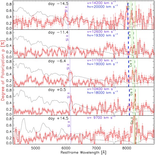 Intrinsic polarization of SN 2019np from days −14.5 to +14.5 as labelled from top to bottom in the subpanels. For each epoch, the degree of polarization is calculated based on ISP-subtracted Stokes Q and U, bias-corrected following equation (1), and presented (red histograms) with 30 Å binning, together with the arbitrarily scaled flux spectrum (black lines). ${\rm Si\, {\small II}}$ λ6355 and the photospheric component of the ${\rm Ca\, {\small II}}$ NIR3 features are marked, and their velocities (v) are also given. The high-velocity component of the ${\rm Ca\, {\small II}}$ NIR3 feature is labelled ‘hv.’.