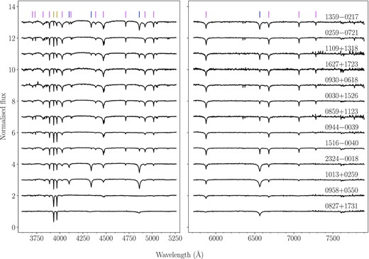 Normalized X-shooter spectra of the 13 metal-polluted white dwarfs. Hydrogen, helium, and Ca ii H and K absorption lines are marked with blue, pink and yellow vertical lines, respectively. The effective temperature increases from bottom to top. The spectra are offset vertically for display purposes.