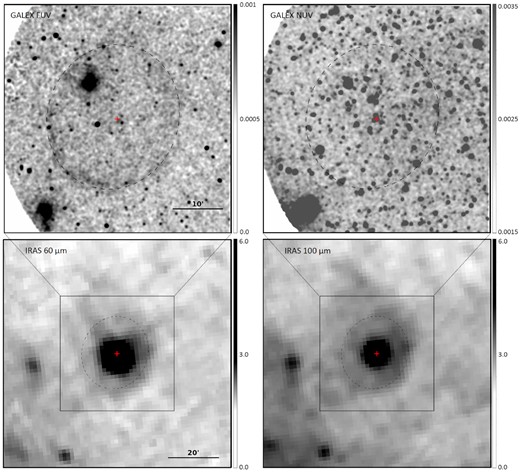 Greyscale GALEX far-UV (top-left) and near-UV (top-right) and IRAS 60 $\mu$m (bottom-left) and 100 $\mu$m (bottom-right) images of R Dor. The red cross marks the position of R Dor. Images are shown using a squared-root scale with the side bars in units of counts pixel−1 for the GALEX images and MJy str−1 for the IRAS images. A larger field of view is used for the IRAS images to display the large-scale variations of the background surface brightness. The field of view of the GALEX images is highlighted to ease the comparison. The dashed 26 arcmin × 29 arcmin ellipse centred at R Dor with major axis along PA = 160° marks the position of the shell. North is top, and east is to the left.