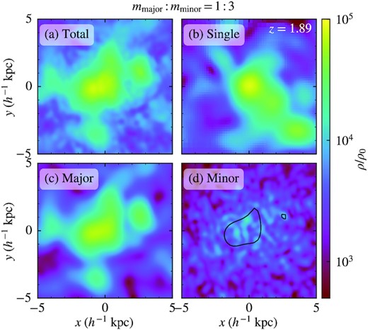 Zoomed-in view of the central high-density region of the same halo in Fig. 11, showing the projected density in a slab of dimensions $10\, {h^{-1}\, \rm kpc}\times 10\, {h^{-1}\, \rm kpc}\times 5.98\, {h^{-1}\, \rm kpc}$ centred at the central soliton. We plot the total density of the two-component halo (a), the associated major-component (c) and minor-component (d) densities (so (a) = (c) + (d)), and the single-component halo (b). A prominent soliton can be clearly seen in the total density of both the two- and single-component haloes. However, for the former, the soliton only forms in the major component but not in the minor component. To highlight this finding, we plot in panel (d) the boundary of the major-component soliton (solid line), defined as the isodensity contour where the projected major-component density drops by half. Clearly, there is no minor-component high-density clump inside the major-component soliton. This result is distinctly different from the mmajor: mminor = 3: 1 case (e.g. see Fig. 6), where the major- and minor-component solitons can coexist and are roughly concentric. Density granulation appears in both components, the size of which is about three smaller in the minor component, consistent with mmajor: mminor = 1: 3. As a result, compared to the single-component case, the total density granulation of the two-component halo exhibits more fine structures due to the presence of a shorter-wavelength minor component.