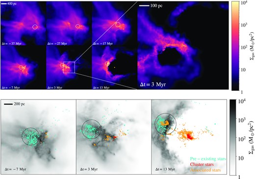 Top: Time evolution of the gas surface density of the progenitor gas cloud that gives birth to a bound stellar cluster in m10l galaxy at z = 8.1. Each smaller sub-panel is $(4\, {\rm kpc})^2$ with a depth of $1\, \text{kpc}$, centred on the centre of mass of the gas progenitors that eventually give birth to the cluster members. The time relative to the cluster formation epoch is noted in each frame and the pre-existing galaxy is indicated with a white circle with size equal to its stellar half-mass radius. The larger sub-panel on the right-hand side, spanning $(1\, {\rm kpc})^2$ with a depth of $0.5\, \text{kpc}$, zooms into the region where the cluster forms just prior to its birth. At this epoch, a substantial amount of gas, $\approx 10^7\, \mathrm{M}_{\odot }$, reaches a surface density of $\Sigma _{\rm gas} \sim 10^4\, \mathrm{M}_{\odot }\, {\rm pc}^{-2}$, a necessary condition for cluster formation, as a result of a cloud–cloud collision. The cluster itself is shown at $\Delta t=13\, {\rm Myr}$ as a gold circle with size equal to the cluster half-mass radius (20 pc). Bottom: $(2\, {\rm kpc})^2$ gas surface density maps, with depth of $1\, {\rm kpc}$, at the last three times shown in the upper panels. Pre-existing stars are shown in cyan, stars that are part of the bound cluster that forms are shown in red, and stars forming from Δt = −17 Myr to the snapshot in question that are not bound to the cluster are shown in orange. The cloud–cloud collision results in a very high surface density outside of the pre-existing galaxy (whose stellar half-mass radius is shown in black in each panel). This gas is further compressed by supernovae resulting from stars born in the colliding gas (orange in left panel), leading to the formation of the stellar cluster. Many stars that are not formally identified as cluster members are formed at the same time in the immediate vicinity of the cluster as well (right panel), and feedback from the cluster formation launches a compressive shock that causes star formation within the pre-existing galaxy.