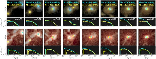 The galaxy (top) and gas (bottom) surrounding a dual AGN during the galaxy merger. The galaxies are colour coded by the stellar age (warmer colours correspond to older stars), and the gas is colour coded by the gas temperature (warmer colours correspond to higher temperature), with brightness representing the densities for both. The crosses mark the two MBHs. The bottom panels show the gas and stellar densities around the MBH with the corresponding colour. The host galaxy masses of the two MBHs are marked with the corresponding colour. The host galaxies merge between z = 3.1 and z = 3.05.