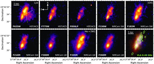 PSF-homogenized 3.75″ × 3.75″ cutouts around TNJ1338 for each of the bands used in this analysis, where all images are oriented per the annotation in the second panel. The colour-scale for each image is based on the local noise properties, with an asinh scaling between 1 and 50 × or 120 × the local σ-clipped noise for the ACS or NIRCam SW filters and NIRCam LW filters, respectively. In the first panel (F625W), dashed lines indicate the approximate bounds of the extended Lyα emission feature labelled as ‘the Wedge’ by Zirm et al. (2005). Filters containing prominent nebular emission lines have the the relevant line noted in the upper right-hand of each panel (see also Fig. 1). The RGB colour image in the lower right-hand panel combines the ACS imaging for the blue channel, NIRCam/SW imaging for the green channel and NIRCam/LW imaging for the red channel. Green contours show the VLA 8.46 GHz radio continuum emission associated with the galaxy, with contours starting at 4σ (increasing by 4n).