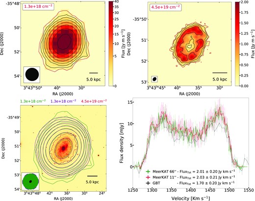 The top panels show the MeerKAT H i image at a resolution of 66 arcsec(left) and 11 arcsec (right). In each panel, the value on the top left gives the level of the lowest H i contour (shown in red), which is calculated as the 3σ sensitivity over a 25 km s−1 line width. The H i contours increase by a factor of 2 at each step. The PSF and a 5 kpc scale bar are shown on the bottom-left and bottom-right corner, respectively. The bottom-left panel shows with green, red, and purple contours the (i) 66 arcsec H i image, (ii) lowest reliable contour of the 11 arcsec H i image, and (iii) 11 arcsec image convolved to a 66 arcsec resolution. With the same colours, we show the 3σ column density sensitivity of the respective H i image (top of the image) and their PSFs (bottom-left). The g-band optical image comes from the Fornax Deep Survey (Peletier et al. 2020). The bottom right panel shows spectra extracted from the 11 arcsec (red) and 66 arcsec (green) cubes, and from single-dish data (GBT, Courtois et al. 2009 – black), respectively. The legend shows the total fluxes obtained from these data. The uncertainties on the total MeerKAT fluxes are calculated by summing in quadrature the statistical uncertainties – derived from the local RMS and the number of independent pixels detected in each channel – the 10 per cent MeerKAT flux uncertainty measured in Serra et al. (2023). The spectral axis shows velocity in the optical convention.
