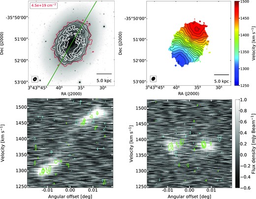 Top-left: comparison between the H i and CO gas distribution from the MeerKAT (red and black contours as in the top-right panel of Fig. 2) and ALMA (white contours) data, with corresponding beam sizes shown in the lower-left corner of this panel (in black and white, respectively). Bottom panels: comparison of the PV diagram of H i and CO along the major axis (green line on the top left panel) and minor axis. The background image shows the H i, while the green contours show the CO emission at 2.5σ, increasing in steps of 2. Cyan contours show the negative signal in the CO ALMA cube, whose absolute level is the same as that of the first positive green contour.