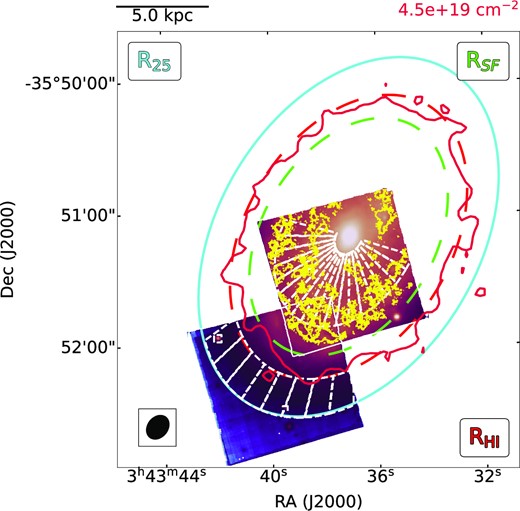 Comparison between the reconstructed MUSE image, MUSE Hα emission, and the MeerKAT H i data for NGC 1436 informing the location of the MUSE aperture spectra used in our SFH analysis. As in Fig. 1, the cyan and green ellipses indicated, respectively, the isophotal level at 25 mag/arcsec2 in B-band and the limit of the star-forming disc, where the Hα emission is traced by the yellow contours. The extent of the gas reservoir in NGC 1436 is traced here by the red contours for a limiting H i column density of ${4.5\times 10^{19}\rm cm^{-2}}$, which are best fitted by the shown red ellipse setting the radius of the H i disc at RHI = 70 arcsec. Finally, the white dashed lines show the location of the annular sectors used to extract the aperture spectra in both the inner and outer disc for +ur SFH analysis, where the former avoid the bulge regions (inside 9 arcsec) and extend to the limit of the MUSE central pointing, whereas the latter start at the edge of the H i disc and reach out to the 25 mag/arcsec2 B-band isophote.