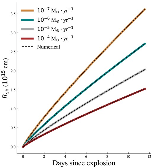 The orange, cyan, grey, and red solid lines show the evolution of the radii of the shocked CSM shell (Rsh) calculated by the formula in Moriya et al. (2013) with $\dot{M}_{\text{w}}$ of 10−7, 10−6, 10−5, and 10−4 M⊙ yr−1, respectively. The dashed black lines are the evolution of Rsh solved numerically by our CSM model.