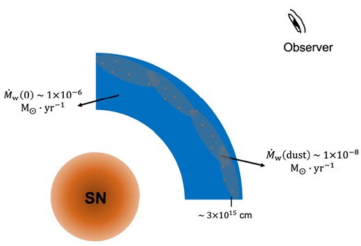 The illustration of the configuration of Model_ext with dusty CSM around SNe Ia modelling UV-band light curves. The grey area with grey dots is where the dust exists. The mass-loss rate of the dust ($\dot{M}_{\text{w}}(\text{dust})$) is related to B −band optical depth of 0.15 and the dust distance of 3 × 1015 cm. For comparison, $\dot{M}_{\text{w}}(0)$ with a characteristic value of around 1 × 10−6 M⊙ yr−1 is also shown in the figure.