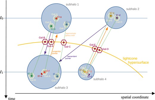 Sketch illustrating the time integration scheme of the semi-analytic code between two subsequent times t0 and t1 in the merger tree. The sketch considers 5 galaxies marked with hexagons and labelled Gal-A to Gal-E. Each of the galaxies is associated with a simulation particle ID, labelled ID-a to ID-e. For the galaxies in subhalo 1, only subhalo 3 is a possible new site at time t1, while for the galaxies in subhalo 2, both subhaloes at time t1 are possible, due to the additional progenitor link pointing from subhalo 4 to subhalo 2. Galaxies D and E are ultimately assigned to subhalo 4, because the spatial distance of their particle IDs to the (new) particle ID tracking the centre of subhalo 4, ID-g, is smaller than the distance to the centre of subhalo 3, ID-f. In subhalo 3, galaxy A is selected as central galaxy and associated with a new particle ID, namely ID-f. The other two galaxies stay satellites and retain their particle IDs for tracking. In subhalo 4, galaxy D is selected as central galaxy, with its coordinate now being given by particle ID-g, the centre of the corresponding subhalo. Note that particles ID-a and ID-b no longer represent galaxies at time t1. Green straight lines mark linear orbit approximations between the two times t0 and t1 for the new galaxy positions. At their intersections with the lightcone, we obtain interpolated galaxy coordinates (red hexagons) together with galaxy properties integrated up to the corresponding times.
