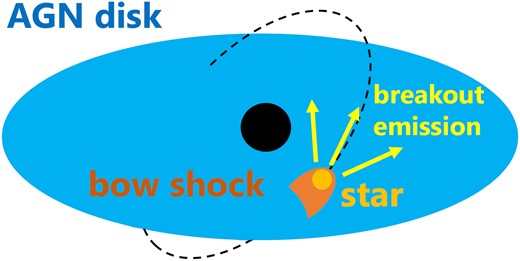Schematic picture of the breakout emission from the collision between a star and an AGN disc.