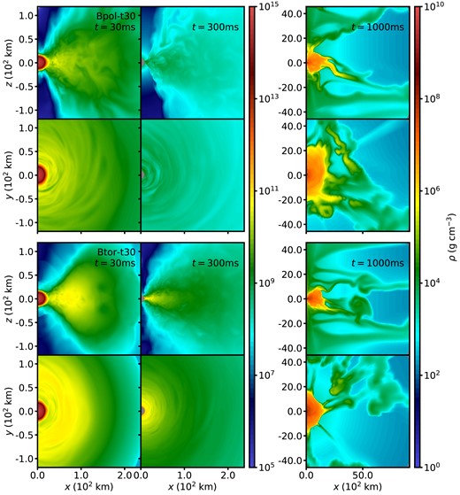 Slices of density in the x–z (ϕ = 0, polar) and x–y (θ = 0, equatorial) planes for the models Bpol-t30 (top two rows) and Btor-t30 (bottom two rows) at $t=30\ \mathrm{ms}$ (just before collapse), 300 ms and 1 s. The two leftmost columns show the difference in torus structure and density just before and a few hundred ms after collapse, corresponding to when most of the outflows occur. Grey regions show the excised BH, and are outside the computational domain. Note the changes in both colour and length-scale for the final column, showing the late-time periodic mass ejection events from the torus.