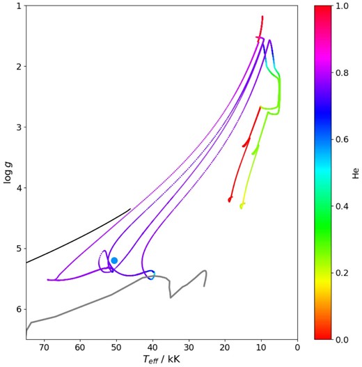 Theoretical Teff vērsus log(g) tracks of stripped hot subdwarf stars from Götberg et al. (2018) corresponding to initial masses of 6.3 M⊙ and 4.04 M⊙ and final masses of 1.01 M⊙ and 0.82 M⊙, respectively), colour-coded for different He abundances. The blue point indicates the location of our source (star #2413) in this parameter space, with the colour linked to its He abundance. Its position appears to be consistent with it being a stripped star. The black line represents a 0.525 M⊙ post-AGB track from Renedo et al. (2010) while the grey line shows a 0.471 M⊙ post-extreme horizontal branch track from Dorman, Rood & O’Connell (1993).