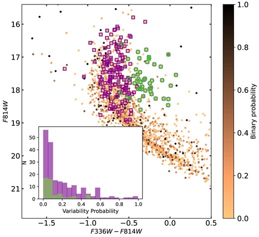 (F814W, F336W-F814W) CMD of NGC 1850. As in Fig. 2, each coloured point represents a star with HST photometry, for which we have spectroscopic information from MUSE. The colours, from black to light orange refer to their probability of being radial velocity variables, thus being part of a binary system. The purple open squares and green diamonds identify Be and shell star candidates, respectively, in NGC 1850 according to the spectroscopic investigation made in Kamann et al. (2023). The binary probability distributions of Be and shell star candidates are shown in the inset (purple and green, respectively). The fraction of obvious binaries (i.e. p > 0.8) in the two groups of stars is quite low or equal to 0.