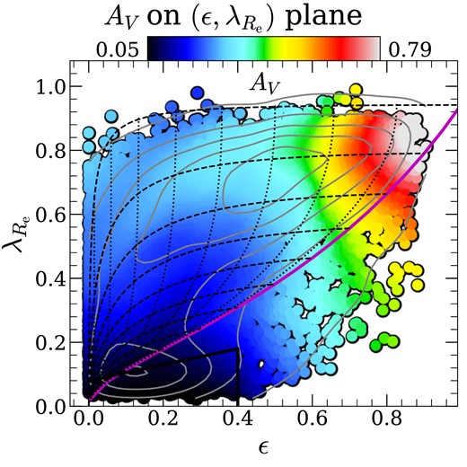 Distribution of AV (the attenuation of the spectrum at $\lambda =5500\ \mathring{\rm A}$, i.e. V band) on the $(\epsilon , \lambda _{R_{\rm e}})$ plane (see Section 2.2 for definitions of these two parameters). The black polygon is defined by $\lambda _{R_{\rm hsm}}=\epsilon /4+0.08$ and ϵ = 0.4, and encloses the region of slow-rotating ETGs (Cappellari 2016, equation 19). The magenta curve shows the edge-on view for axisymmetric galaxies following a relation between intrinsic shape and anisotropy β = 0.7ϵintr (Cappellari et al. 2007, fig. 9), with the black dotted lines showing its change with different inclinations (Δi = 10°). The black dashed lines show the theoretical distribution of galaxies versus inclinations, given different εintr values (Δεintr = 0.1). A kernel density estimation of the galaxy number density is indicated by the grey contours. This result comes from the ppxf fitting with the fsps stellar model.