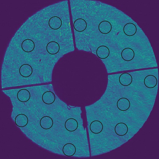 Example of using the INT pupil-plane images to estimate the SNR for an array, where each black circle represents a telescope pupil in the array. The intensity for each telescope is measured by summing the flux within each circle.