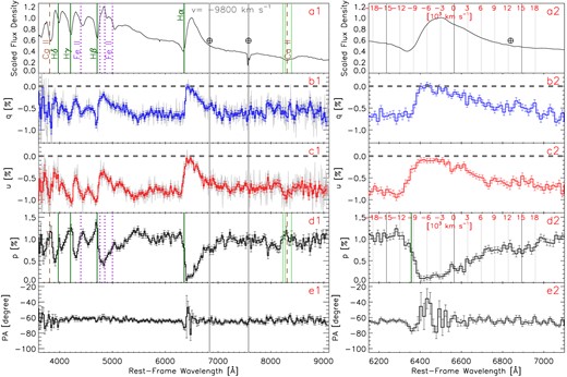 Left column: spectropolarimetry of SN 2021yja obtained on day + 25 (epoch 1) using VLT FORS2. (These data are also shown in Fig. 2, for ease of comparison with Figs 3–5.) The five subpanels (from top to bottom) show (a1) an arbitrarily scaled total-flux spectrum with major spectral lines identified; (b1) and (c1) the normalized Stokes q and u, respectively; (d1) the polarization spectrum (p); and (e1) the polarization position angle (PA). The data in the left panel have been rebinned to 25 Å for better illustration. Some major telluric lines are labelled by ⊕ and vertical grey-shaded bands. All vertical lines label the velocity estimated from the minimum of the absorption component of the Hα profile (9800 km s−1) except for the Ca ii NIR triplet. The three vertical green lines mark the velocity of each Ca ii NIR triplet component; the velocity of a central wavelength at 8570 Å is labelled by the vertical dashed-brown line at a blueshift of 8800 km s−1. The grey lines in panels (b1) and (c1) show the data with their original sampling on the pixels of the VLT/FORS2 detector. Horizontal grey-dashed lines in panels (b) and (c) denote the zero-points of q and u, respectively. Right column: similar to the left column, but zoomed-in on the Hα profile. The polarization data have been rebinned to 15 Å for the purpose of presentation. Vertical grey lines together with the red tick marks indicate velocities relative to Hα in the rest frame.