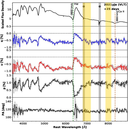 VLT spectropolarimetry of SN 2021yja on 2021 October 02 (day +25). The four panels (from top to bottom) present the scaled flux-density spectrum; the normalized Stokes parameters q and u, and the polarization spectrum p, respectively. The polarization data have been rebinned to 25 Å for clarity. The vertical size of each bin of the grey-shaded histograms indicates the 1σ uncertainty. The vertical green (brown)-dashed lines mark the blueshifted absorption minimum of the P Cygni profile of Hα (Ca ii NIR3) at an expansion velocity of 9800 (8800) km s−1. Some major telluric lines are labelled by red-shaded lines marked with ⊕. Continuum polarization calculated along 6800–7200 and 7820–8140 Å is highlighted by yellow columns.