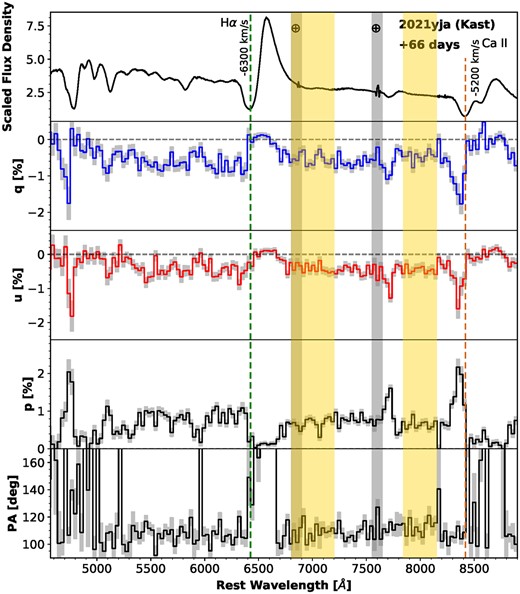 Same as Fig. 3, but for 2021 November 12 (+ 66 d) and a bin size of 30 Å.
