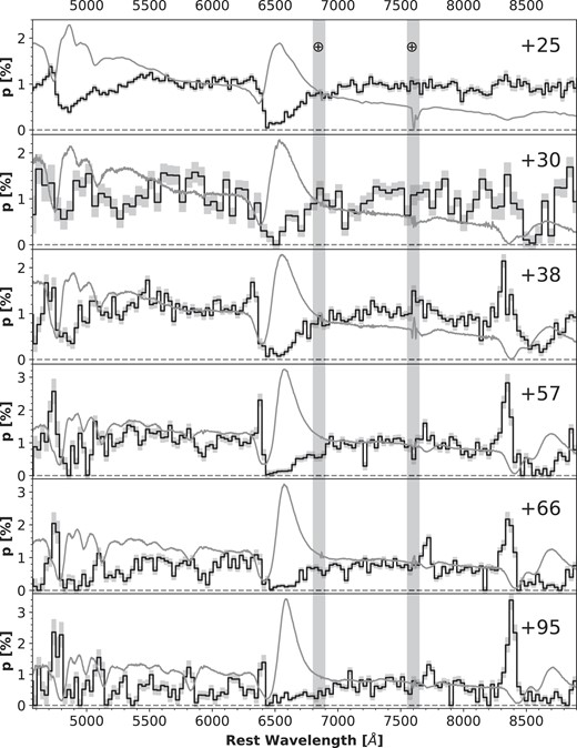 Summary of VLT (rebinned to 25 Å) and Kast spectropolarimetry (rebinned to 50 Å for day +30 and 30 Å for days +38 to + 95) of SN 2021yja. The arbitrarily scaled total-flux spectrum is plotted in grey for each of the observations. The positions of major telluric lines are indicated by ⊕, although they were mostly removed in the Kast spectra.