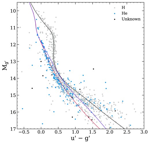 Photometry calculated using Gaia XP spectrophotometry in SDSS u and g bands, which we distinguish from catalogue SDSS photometry with a prime symbol. H-atmosphere white dwarfs are shown in grey, and He-atmosphere white dwarfs are in blue. Unconfirmed candidates are in black. The purple line indicates pure-He cooling tracks, the black line indicates pure-H cooling tracks and the red line indicates mixed H/He = 10−5 cooling tracks for a 0.6 M⊙ white dwarf.