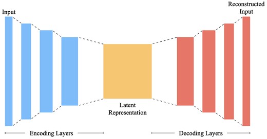 The autoencoder architecture.