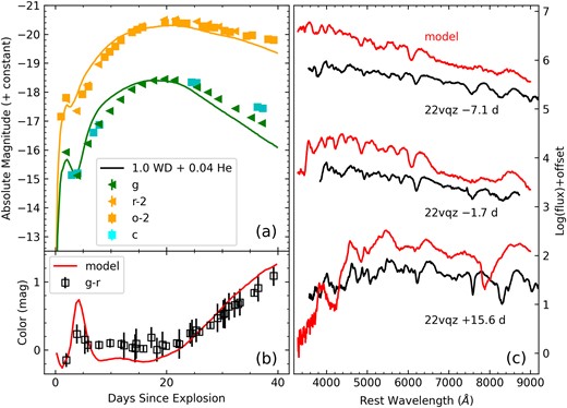 Photometry and spectra of SN 2022vqz compared to the double-detonation model of a 1.0 M⊙ WD with a 0.04 M⊙ He shell. (a) g-band and r-band absolute light curves. (b) g − r colour. (c) Spectra at different epochs. The model light curves are shifted by 0.8 mag to match the peaks of the observed light curves.