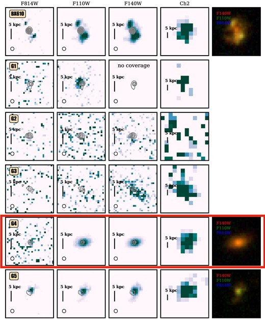 Cutout images of HST/F814W, HST/F110W, HST/F140W, and Spitzer/IRAC/ch2 and false colour images (red: F140W, green: F110W, blue: F814W) for all galaxies detected in ALMA 2 mm continuum. The centres of individual images are all at the 2 mm peaks. The Spitzer image is zoomed out to afford the larger pixel size. A scale bar indicating 5 kpc at z = 2.21 is shown. Overlaid contours are ALMA 2 mm continuum detection (starting from 3σ in steps of 2σ) and the bottom left shows the beam size of the ALMA image (0.22 arcsec × 0.21 arcsec). G4 is highlighted in a red box.