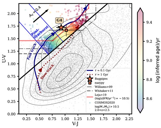 The rest-frame UVJ colours of G4 based on the bagpipes (non-parametric SFH) best-fit (star symbol), colour-coded by the mass-weighted age obtained from the SED fitting. The overlaying data points are log (M⋆/M⊙) > 10.5 galaxies at 2.0 < z < 2.5 in the COSMOS2020 catalogue (Weaver et al. 2022) and their number density distributions in contours. eazy-py best-fitting UVJ colours of G4 are shown as a square for a fair comparison with COSMOS2020. We define a quiescent region based on Whitaker et al. (2011). A thick solid diagonal line represents the definition by Whitaker et al. (2011) with additional cut in the U − V and V − J colours shown as a dashed line. COSOMOS2020 galaxies in the quiescent region are colour-coded with their expected stellar age based on the empirical age–colour relation derived by Belli, Newman & Ellis (2019) (for age >300 Myr). This shows a good match between age from the empirical relation and the one from the SED fitting for G4, giving a (mass-weighted) stellar age of 1−2 Gyr. A region corresponding to the stellar age between 300 and 800 Myr where most post-starburst galaxies would fall, is marked according to Belli, Newman & Ellis (2019). Two other different definitions of the quiescent region in the UVJ colour space are plotted: the dashed-dotted line is the definition suggested by Williams et al. (2009), and the red solid line represents the criteria by Leja, Tacchella & Conroy (2019b) for log (sSFR/yr−1) = −10.5. The dust attenuation direction and the amount are indicated as the arrow for AV = 0.4. We show two simple toy models of UVJ colour trajectory assuming the τ-model SFH, for different e-folding times, 100 Myr (dark blue solid, fast track) and 1 Gyr (dark red dotted, slow track) using fsps-py following Belli, Newman & Ellis (2019) (see Section 5.3 for details).