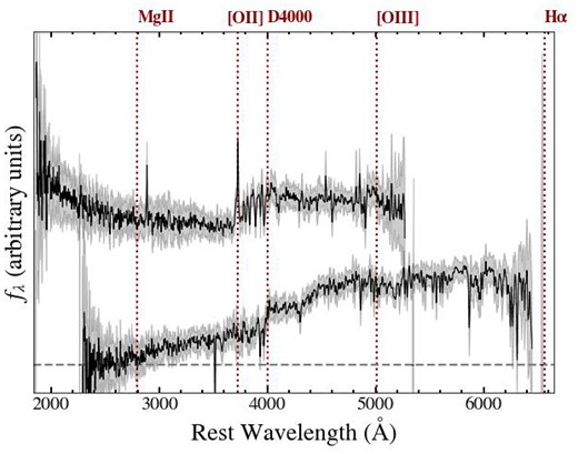 SDSS spectra of OQQ J1051+3241 and OQQ J0751+4028. J1051 shows a slight blue rise which may indicate that there is either some view of the accretion disc or recent star formation (see Appendix B2), whereas J0751 shows the continuum shape and lack of emission lines of typical OQQs.