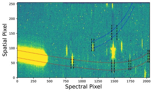 Exposure in the NIRISS/SOSS F277W filter (2.5 ≤ λ ≤ 2.85), highlighting the positions of undispersed contaminants. The extraction apertures for orders 1 and 2 are denoted in red and blue respectively. Regions of each order that are masked due to the presence of a contaminant are denoted by the black dashed lines (see text for exact wavelength ranges that are masked).