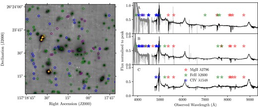 Left: MUSE white light image of the field J1029. The three multiple images, A, B, and C, of the quasar are marked with ‘ + ’. The blue circles identify all the sources detected in the HST F814W image, the green circles denote the sources that have reliable spectroscopic redshifts, and the purple circles indicate the multiple imaged sources. Right: Spectra of the three quasar multiple images extracted from the MUSE cube. The UVES spectra are also shown for images A and B in grey. The stars mark the Mg ii λ2796 (red), Fe ii λ2600 (green), and C iv λ1548 (blue) absorption lines detected in the spectra.