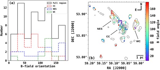 (a) Histogram of B-field position angles for the whole region, CC, NES, and WC. (b) Distribution of B-field position angles over the contours of 850 $\mu$m Stokes I map. The contour levels are the same as in Fig. 2.