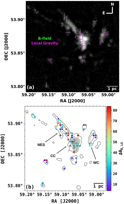 (a) The orientations of the B-fields (green segments) and local gravity (magenta vectors) are overlaid on the 850 $\mu$m Stokes I map. (b) The distribution of the offset between the position angles of the B-fields and local gravity, i.e. ΔθB, LG = |(θB − θLG)| over the 850 $\mu$m Stokes I map. The contour levels are same as in Fig. 2.