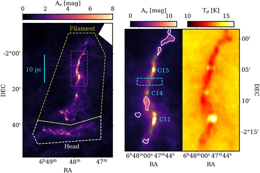(Left) A 18.2 arcsec Herschel column density map of the entire G214.5 giant molecular filament, with the main filament and head structure enclosed by the yellow and white dashed polygons, respectively. The magenta, dashed rectangle shows the region mapped using the IRAM 30m telescope. The cyan scale shows the apparent size of 10 pc at the distance of 2.3 kpc. (Middle) The Herschel column density map of the region enclosed by the magenta rectangle when smoothed to 23.5 arcsec with contours denoting the clumps identified in Clarke et al. (2023). Green and white contours show protostellar and starless clumps, respectively. The cyan dashed rectangle denotes the region mapped using APEX. The 3 protostellar clumps of interest, C11, C14, and C15, are also labelled. (Right) The 36 arcsec Herschel dust temperature map of the region enclosed by the magenta rectangle.