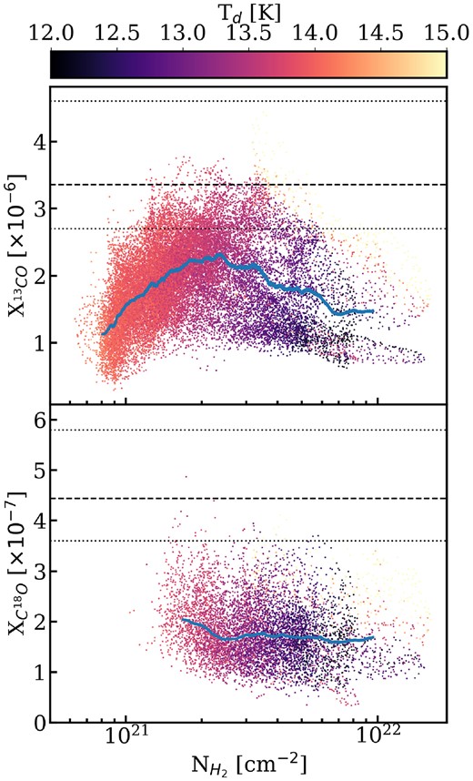 Scatter plots showing the abundance of (top) 13CO and (bottom) C18O with respect to H2 against the column density of H2 as derived from Herschel, colour-coded by the Herschel dust temperature. The dashed black lines show the expected abundances relative to H2 using the Wilson & Rood (1994) isotope ratios at G214.5’s galactocentric distance of 10.1 kpc, i.e. 13CO/H2 = 3.4 × 10−6 and C18O/H2 = 4.4 × 10−7. The dotted black lines show the 1-sigma uncertainties on the expected abundance. The blue shaded regions show the error-weighted moving mean and its uncertainty.