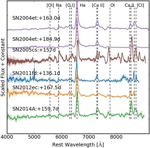 Nebular-phase spectra and line identifications for several SNe II objects in our sample.