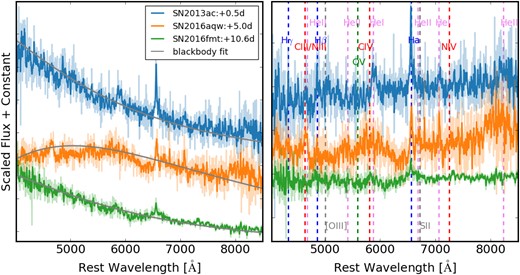 The SNe II of our sample showing possible flash-ionized features in the early phases. Left panel: the original spectra and the best-fitting blackbody (grey line). Right panel: the blackbody continuum-subtracted spectral features. Vertical dashed lines represent emission lines of different species.