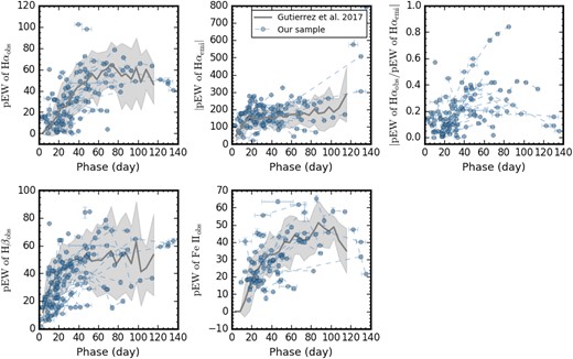 Temporal evolution of pEW of H α, H β, and Fe ii 5169. The grey solid line and the grey shadow represent, respectively, the average pEW value and 1σ standard deviation from the sample given by Gutiérrez et al. (2017a).
