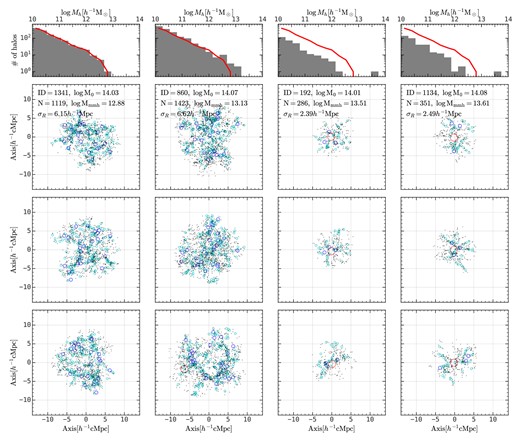 The member halo spatial distribution for four example protohaloes at z ∼ 2 with descendant halo mass around $10^{14}h^{-1}\rm M_\odot$. The left two columns are two examples with large protohalo sizes, and the right two columns are two examples with small protohalo sizes. The top panels show the halo mass distribution in each protohalo, and the halo mass distribution of the leftmost protohalo is overplotted on each panel in red solid curves for reference. The bottom three rows are for different projection directions. Haloes above 1013, 1012, and $10^{11}h^{-1}\rm M_\odot$ are shown in red, blue, and cyan circles, and haloes within $10^{10}-10^{11}h^{-1}\rm M_\odot$ are shown in black dots. The information about each halo, including the ID in ELUCID, the descendant halo mass, the richness, the halo mass of the most massive halo, the protohalo size, is shown in each row. This figure demonstrates the large diversity of spatial distribution of protohaloes at given descendant halo mass.